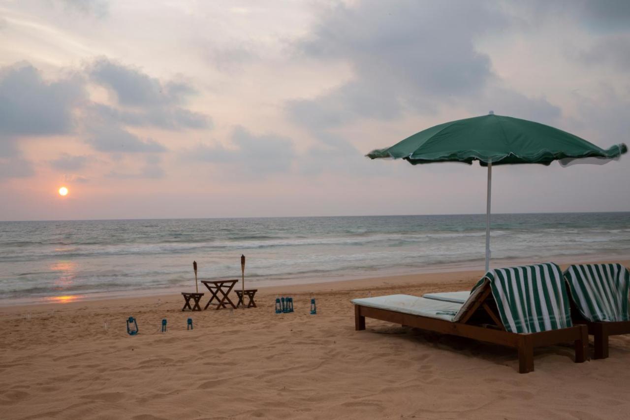 Palm Beach Inn&Sea Shells Cabanas Bentota Bagian luar foto