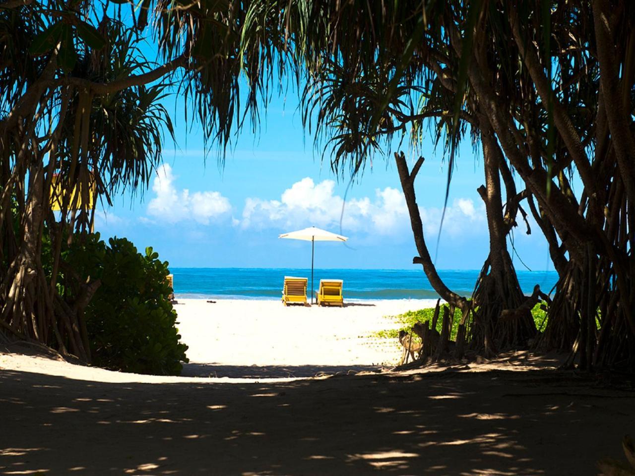 Palm Beach Inn&Sea Shells Cabanas Bentota Bagian luar foto