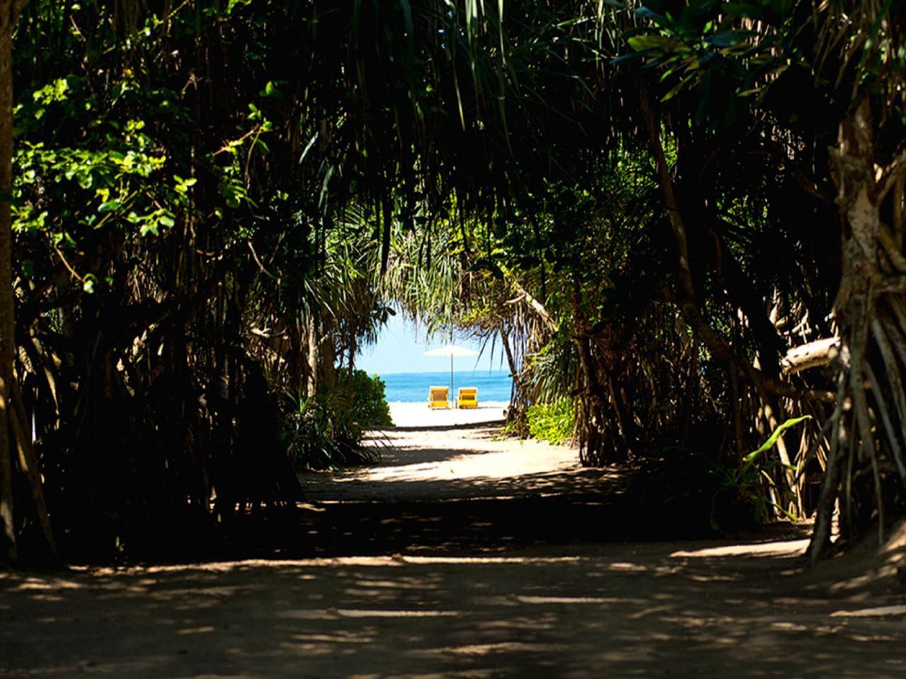 Palm Beach Inn&Sea Shells Cabanas Bentota Bagian luar foto